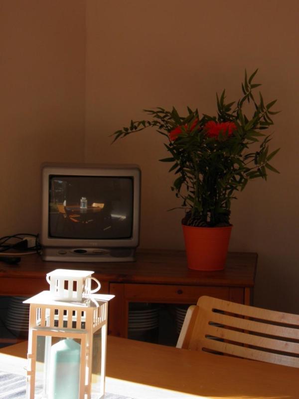 Maremmare Tuscany Apartments Principina a Mare Exterior foto